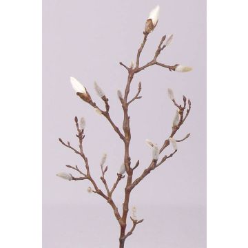 Ramo di magnolia finta ASANI, bianco, 70cm