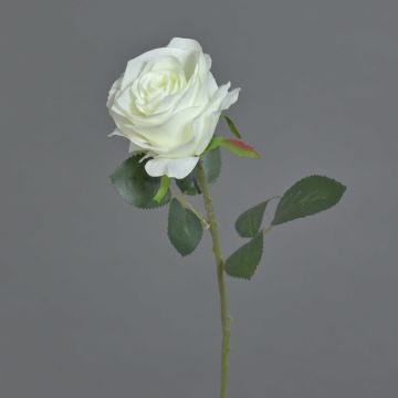 Rosa finta SIMONY, crema, 45cm, Ø8cm