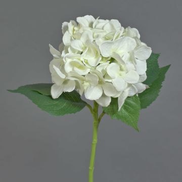 Ortensia finta GABRIELLA, crema, 50cm, Ø18cm