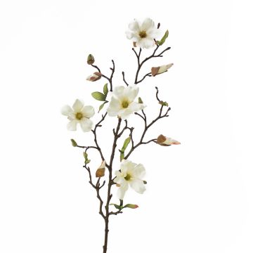 Magnolia artificiale LILO, crema, 75cm, Ø5-9cm