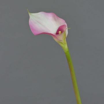 Calla finta MARIOLA, rosa-bianco, 80cm, 8x15cm