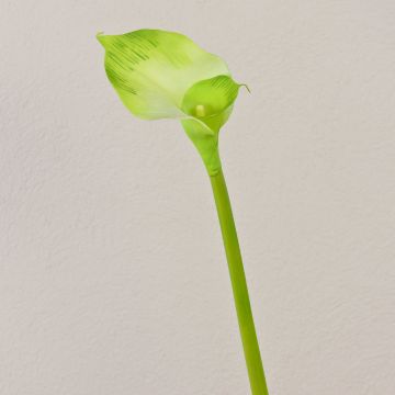 Calla finta MARIOLA, verde, 80cm, 8x15cm