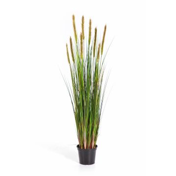 Erba artificiale di coda di volpe FREDERIK con pannocchie, verde-giallo, 120cm