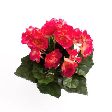 Begonia di plastica IVANA su stelo, fucsia, 20cm, Ø3-5cm