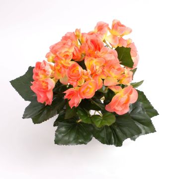 Begonia di plastica IVANA su stelo, salmone, 20cm, Ø3-5cm