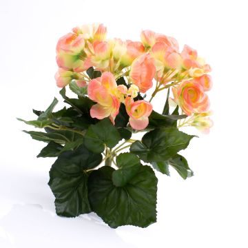 Begonia di plastica IVANA su stelo, pesca, 20cm, Ø3-5cm