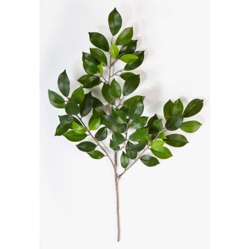 Ramo finto di Ficus Benjamini AJITH, verde, 45cm