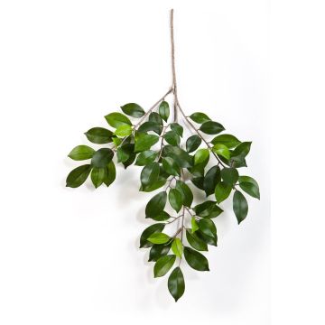 Ramo finto di Ficus Benjamini AJITH, verde, 45cm