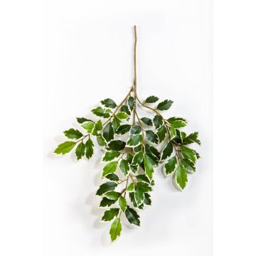 Ramo finto di Ficus Benjamini AJITH, verde-bianco, 45cm