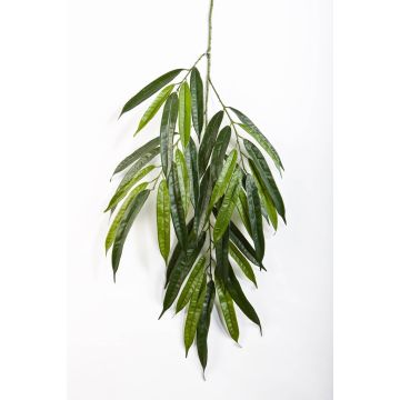 Ramo di plastica di longifolia NILAY, 65cm