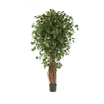 Ficus Benjamini finto LUCIUS, tronchi veri, verde, 120cm