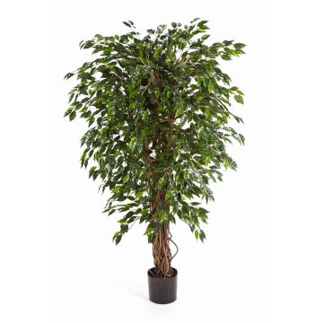 Ficus Benjamini artificiale DAKU, tronchi naturali, verde, 90cm
