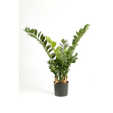 Zamioculcas Zamiifolia di plastica AKONO, 100cm