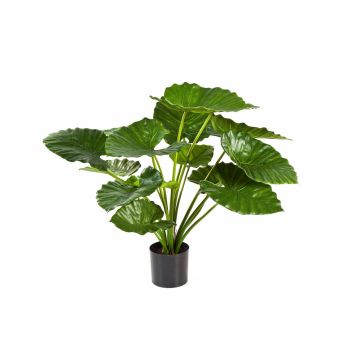 Alocasia Calidora artificiale SALONI, verde, 75cm