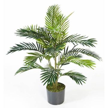 Palma decorativa di areca JENNICA, 90cm