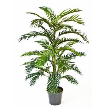 Palma decorativa di areca JENNICA, 120cm