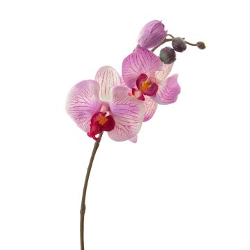 Ramo artificiale di orchidea Phalaenopsis VANESSA, rosa-fucsia, 30cm