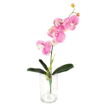 Orchidea Phalaenopsis finta MADOU, su stelo, rosa, 40cm