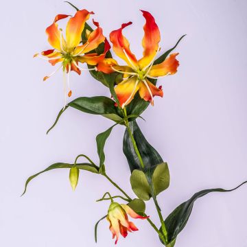Gloriosa finta FUJITA, giallo-arancione, 80cm, Ø15cm