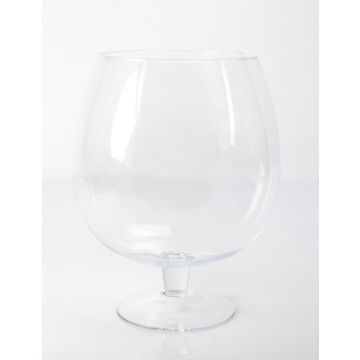 Vaso a boccia / Bicchiere da brandy LIAM, trasparente, 30cm, Ø23cm