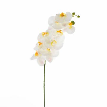Ramo tessile di orchidea Phalaenopsis OPHELIA, bianco, 100cm