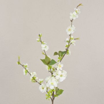 Ramo di ciliegio decorativo VALESKA, fiorito, bianco, 85cm