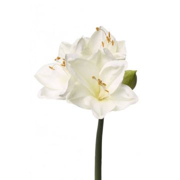 Amaryllis finto BENITA, bianco, 55cm, Ø10cm