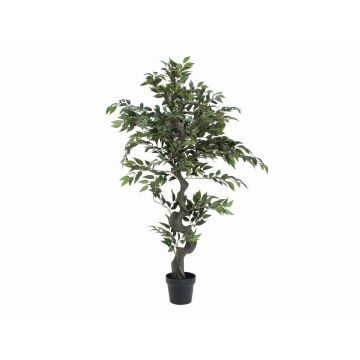 Ficus exotica artificiale YUMA, tronco decorativo, 110cm