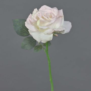 Rosa decorativa QUINZY, rosa pallido, 30cm, Ø 12cm