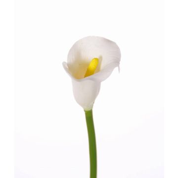 Calla decorativa CHIDORA, bianco, 55cm, 5x6cm