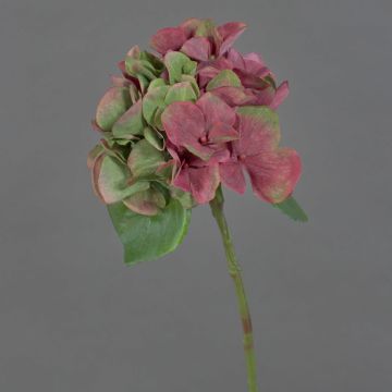 Ortensia di plastica CHIDORI, rosso-verde, 30cm, Ø13cm