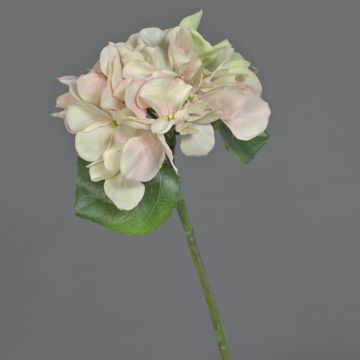 Ortensia di plastica CHIDORI, rosa crema, 30cm, Ø13cm