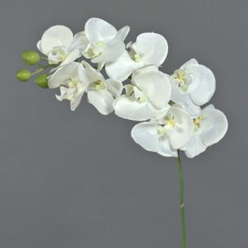 Ramo finto di orchidea Phalaenopsis GALINA, crema, 45cm