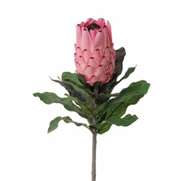 Protea artificiale NELLI, rosa, 75cm, Ø8cm