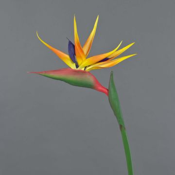 Strelizia artificiale LATIFA, arancione-viola, 80cm, 17x20cm
