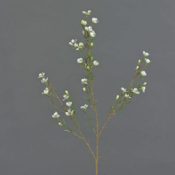 Fiore di cera artificiale NIANG, crema, 80cm, Ø2-3cm