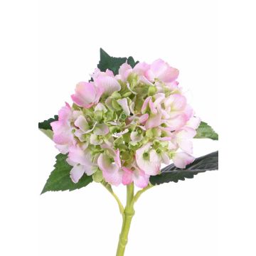 Ortensia finta NICKY, rosa-verde, 50cm, Ø15cm