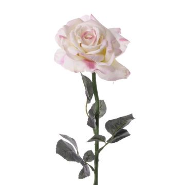 Rosa decorativa QUINZY, rosa pallido, 65cm, Ø13cm