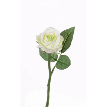Rosa artificiale GABI, verde crema, 25cm, Ø5cm