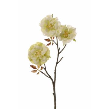 Ramo tessile di rosa centifolia ARYLA, verde, 35cm, Ø5cm