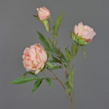 Ramo di peonia artificiale MANJA, rosa, 70cm, Ø8-10cm