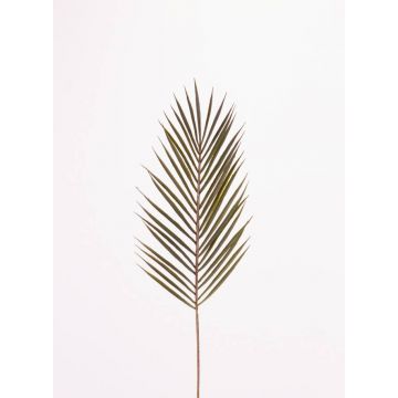 Fronda decorativa di palma areca ABIOLA, 70cm