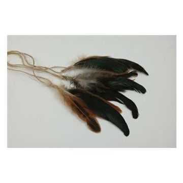 Deco piume indiane HUBERTA, 3 pezzi, marrone, 15-20cm