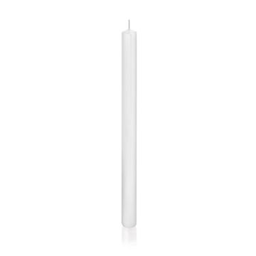 Candela lunga / Candela per candelabro TARALEA, bianco, 35cm, Ø2,3cm, 18h - Made in Germany