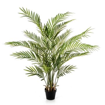 Palma Areca finta LUVA, 80cm