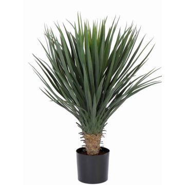 Yucca rostrata finta DRAKE, 80cm