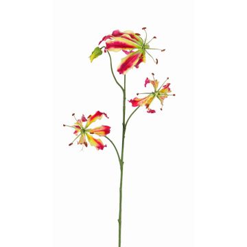 Gloriosa finta TIANA, fucsia-verde, 80cm, Ø8-15cm