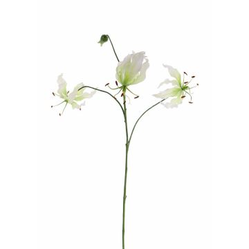 Gloriosa finta TIANA, bianco-verde, 80cm, Ø8-15cm