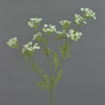 Ramo artificiale di aneto WINCENT con fiori, bianco-verde, 80cm
