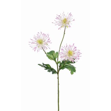 Crisantemo di plastica SOLVIE, bianco-rosa, 70cm, Ø10cm